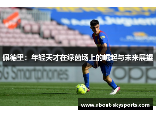 佩德里：年轻天才在绿茵场上的崛起与未来展望